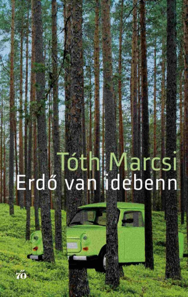 Könyv Erdő van idebenn (Tóth Marcsi)