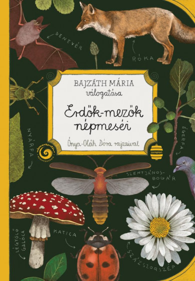 Könyv Erdők-mezők népmeséi (Bajzáth Mária)