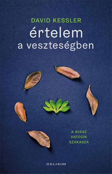 Könyv Értelem a veszteségben (David Kessler)