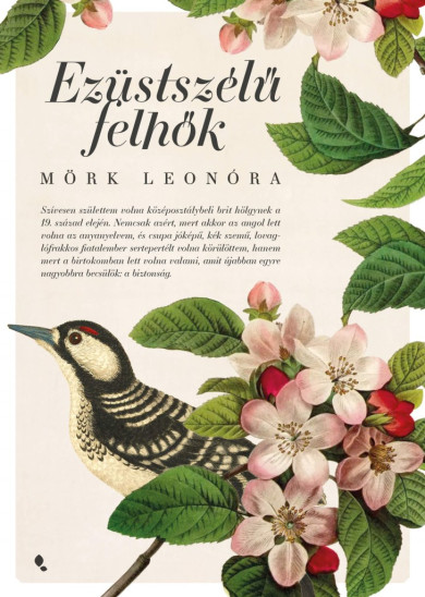 Könyv Ezüstszélű felhők (Mörk Leonóra)