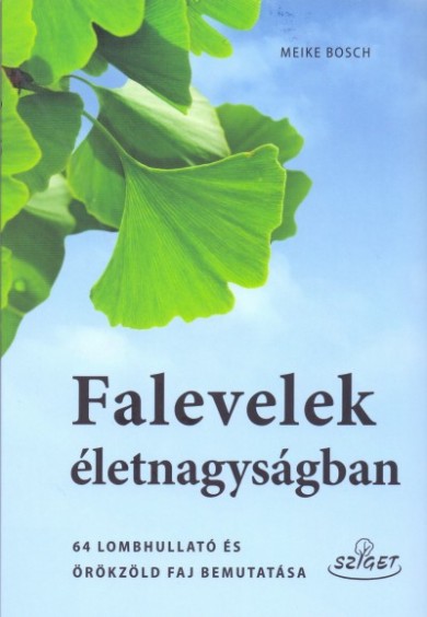 Könyv Falevelek életnagyságban (Meike Bosch)