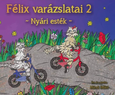 Könyv Félix varázslatai 2. - Nyári esték (Mándi Ildikó)