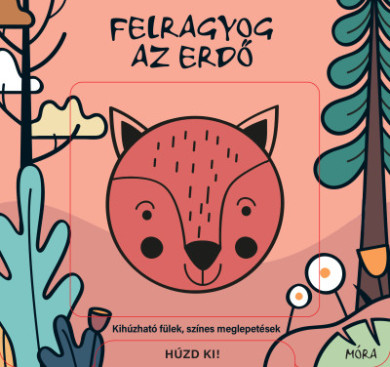 Könyv Felragyog az erdő