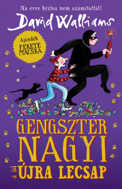 Könyv Gengszter nagyi újra lecsap (David Walliams)