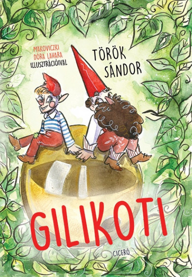 Könyv Gilikoti (Török Sándor)