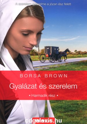 Könyv Gyalázat és szerelem (Borsa Brown)