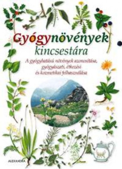 Könyv Gyógynövények kincsestára (Paola Mancini)