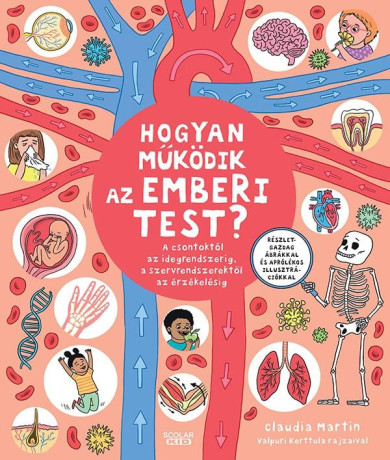 Könyv Hogyan működik az emberi test? (Claudia Martin)