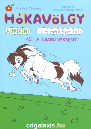 Könyv Hókavölgy 10. - A csapatverseny (Gyükér Zsófia)