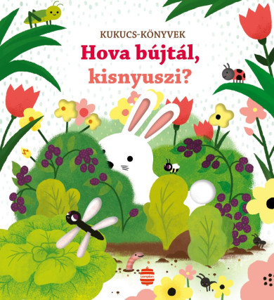 Könyv Hova bújtál, kisnyuszi? (Sam Taplin)