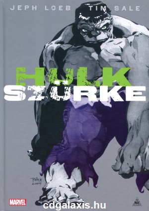 Könyv Hulk: Szürke (képregény) (Jeph Loeb)
