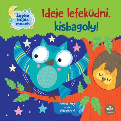 Könyv Ideje lefeküdni, kisbagoly! (Olivier Dupin)