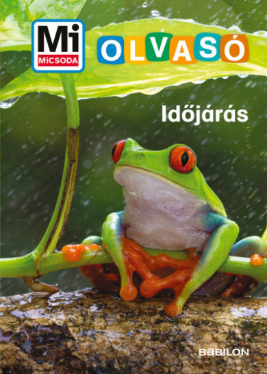 Könyv Időjárás - Mi Micsoda Olvasó (Christina Braun)