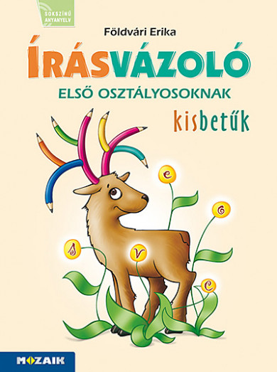 Könyv Írásvázoló 1. osztályosoknak - Kisbetűk (MS-1651V) (Földvári Erika)