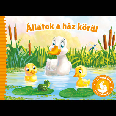 Könyv Ismerd meg az állatokat - Állatok a ház körül
