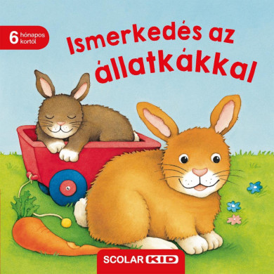 Könyv Ismerkedés az állatkákkal (Monika Neubacher-Fesser)