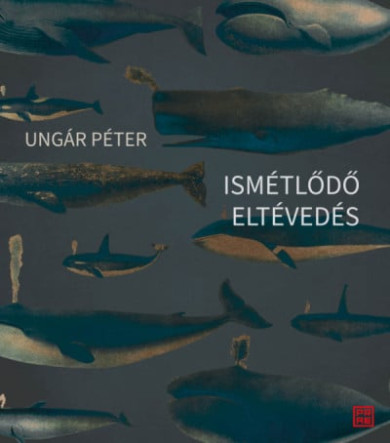 Könyv Ismétlődő eltévedés (Ungár Péter)