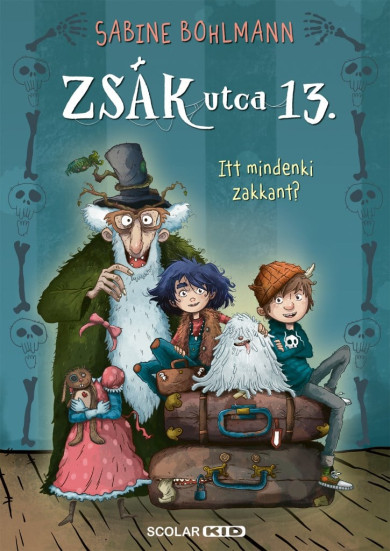 Könyv Itt mindenki zakkant? - Zsák utca 13. (Sabine Bohlmann)