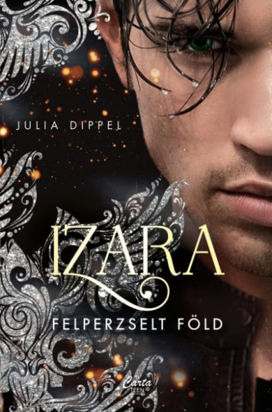 Könyv Izara - Felperzselt föld (Julia Dippel)