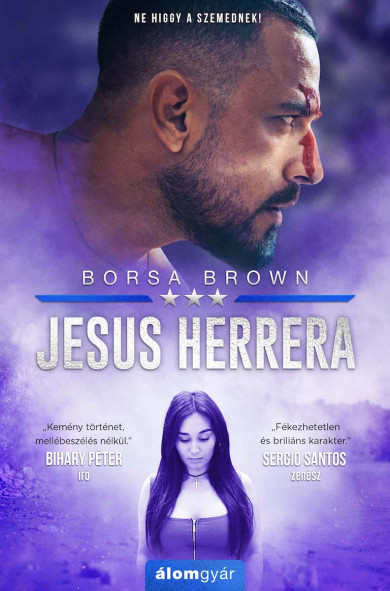 Könyv Jesus Herrera (Borsa Brown)