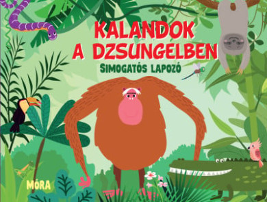 Könyv Kalandok a dzsungelben (Fiona Huisman)