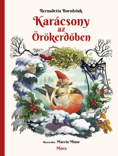 Könyv Karácsony az Örökerdőben (Bernadetta Borodziuk)