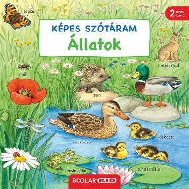 Könyv Képes szótáram - Állatok (Susanne Gernhuser)