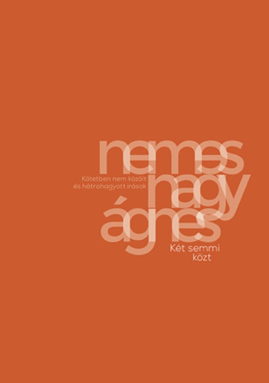 Könyv Két semmi közt (Nemes Nagy Ágnes)