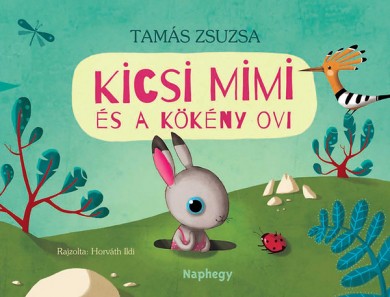 Könyv Kicsi Mimi és a Kökény ovi (Tamás Zsuzsa)