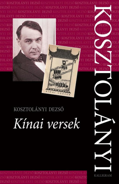 Könyv Kínai versek (Kosztolányi Dezső)