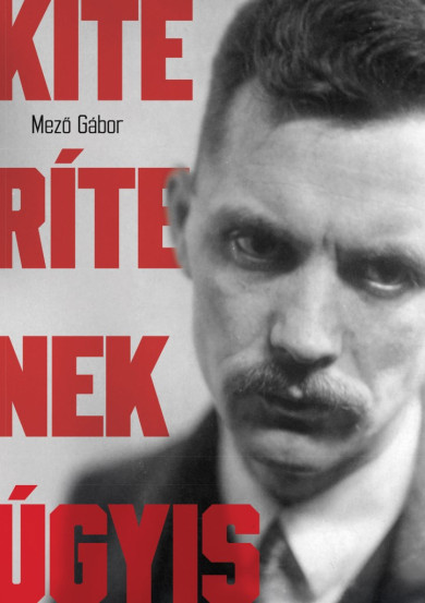 Könyv Kiterítenek úgyis (Mező Gábor)