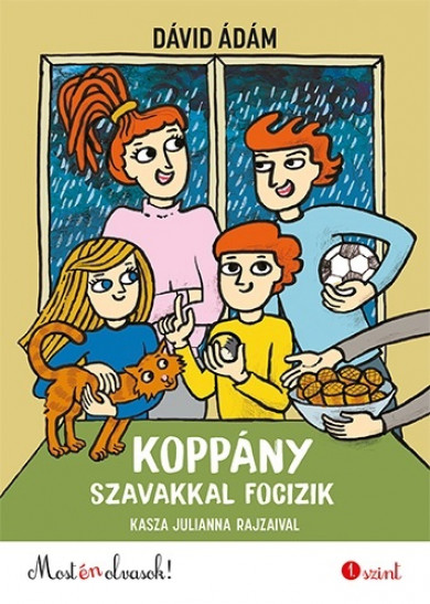 Könyv Koppány szavakkal focizik (Dávid Ádám)