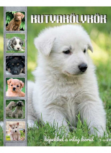 Könyv Kutyakölykök - Képekkel a világ körül (TKK Kereskedelmi KFT.)