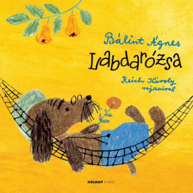 Könyv Labdarózsa (Bálint Ágnes)