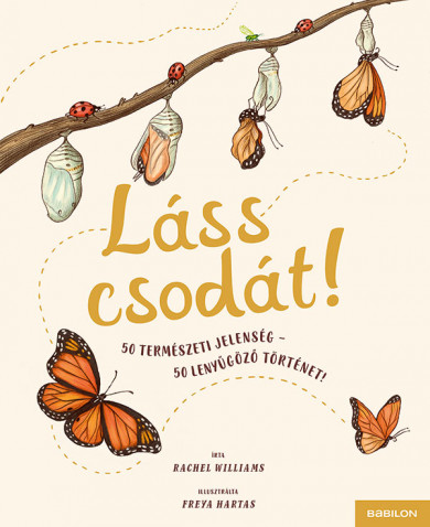 Könyv Láss csodát! (Rachel Williams)