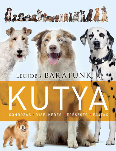 Könyv Legjobb barátunk a kutya (Laura Aceti)