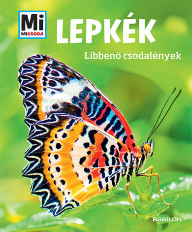 Könyv Lepkék - Mi MICSODA (Nicole Röndigs)