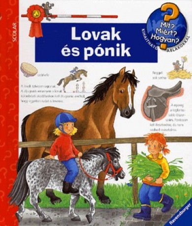 Könyv Lovak és pónik (Andrea Erne)