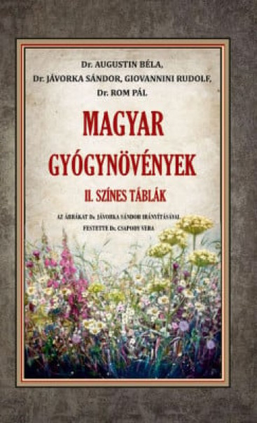 Könyv Magyar gyógynövények II. (Dr. Augustin Béla)