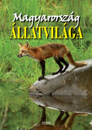 Könyv Magyarország állatvilága (Bernáth István)