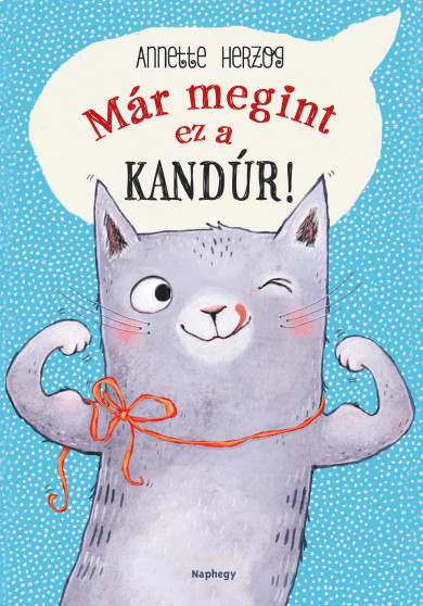 Könyv Már megint ez a kandúr! (Annette Herzog)