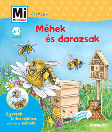 Könyv Méhek és darazsak - Mi MICSODA Junior (Angelika Rusche-Göllnitz)