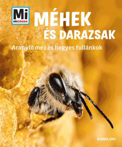 Könyv Méhek és darazsak - Mi MICSODA (Alexandra Rigos)