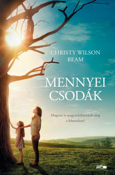 Könyv Mennyei csodák (Christy Wilson Beam)