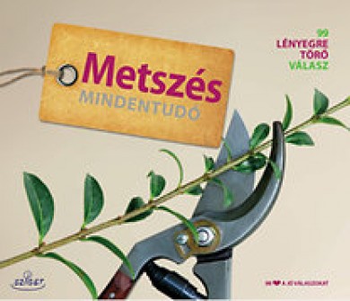 Könyv Metszés mindentudó (Peter Himmelhuber)