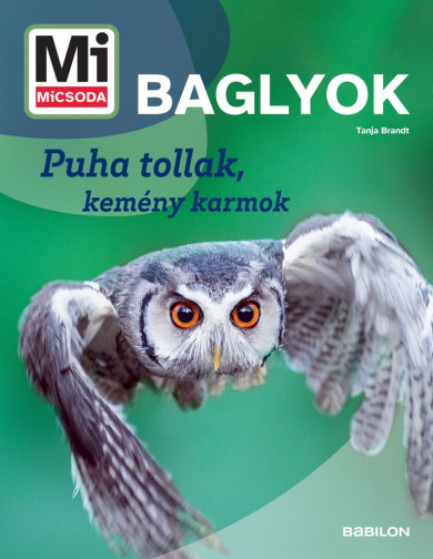 Könyv Mi MICSODA Baglyok (Tanja Brandt)