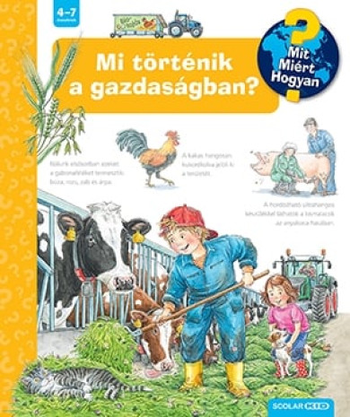 Könyv Mi történik a gazdaságban? (Andrea Erne)