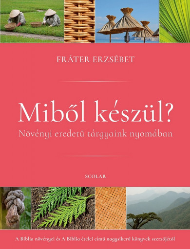 Könyv Miből készül? (Fráter Erzsébet)