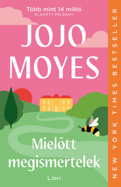 Könyv Mielőtt megismertelek (Jojo Moyes)