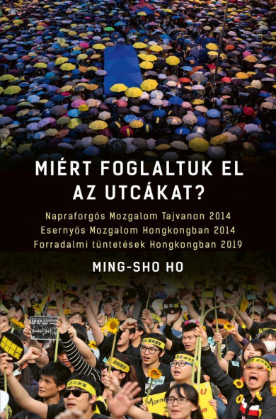 Könyv Miért foglaltuk el az utcákat? (Ming-sho Ho)